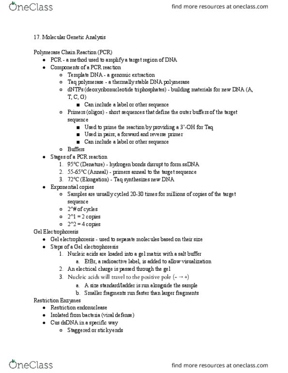 MCB 2410 Lecture Notes - Lecture 17: Electrophoresis, Sticky And Blunt Ends, Deoxyribonucleotide thumbnail