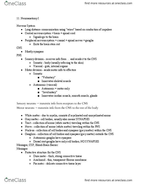 PNB 2264 Lecture Notes - Lecture 11: Dorsal Root Ganglion, Dura Mater, Pia Mater thumbnail