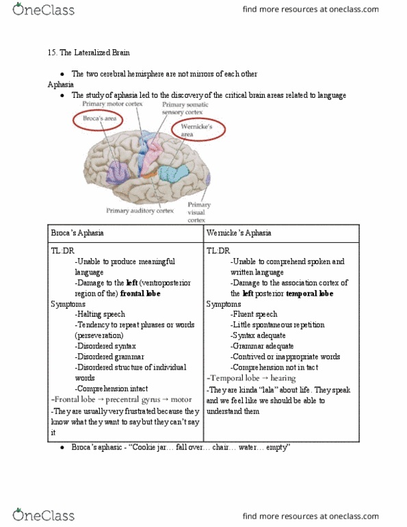 PNB 2264 Lecture Notes - Lecture 15: Cookie Jar, Frontal Lobe, Temporal Lobe thumbnail