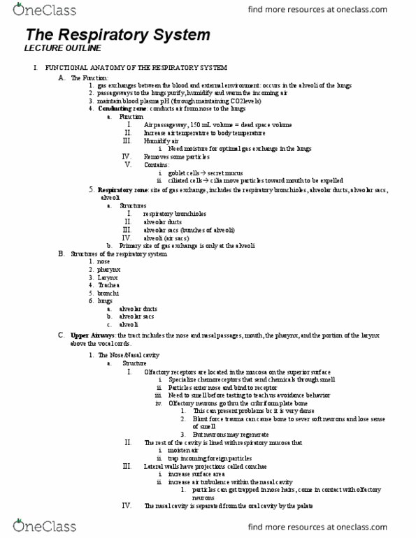 BSCI 202 Lecture Notes - Lecture 3: Blunt Trauma, Bronchiole, Cribriform Plate thumbnail