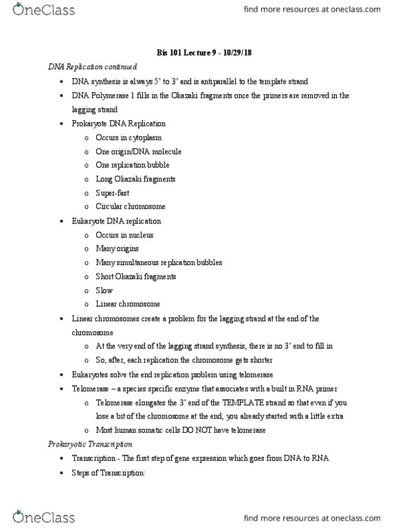 BIS 101 Lecture Notes - Lecture 9: Okazaki Fragments, Dna Replication, Telomerase thumbnail