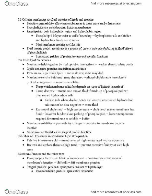 BILD 1 Chapter Notes - Chapter 6: Fluid Mosaic Model, Unsaturated Hydrocarbon, Lipid Bilayer thumbnail