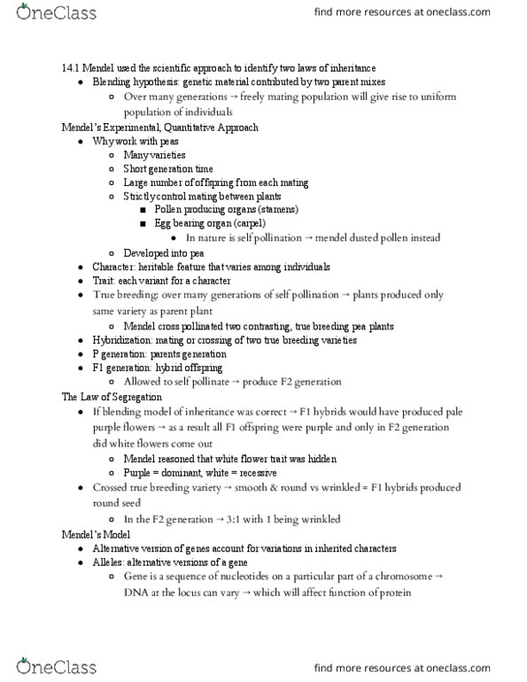 BILD 1 Chapter Notes - Chapter 14: Gynoecium, Allele, Chromosome thumbnail