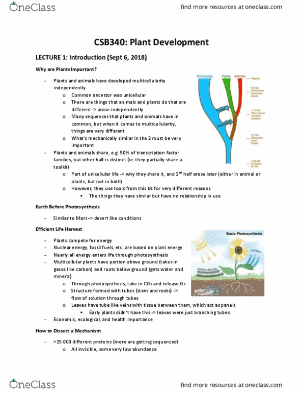 CSB340H1 Lecture Notes - Lecture 1: Lateral Root, Multicellular Organism, Photosynthesis thumbnail
