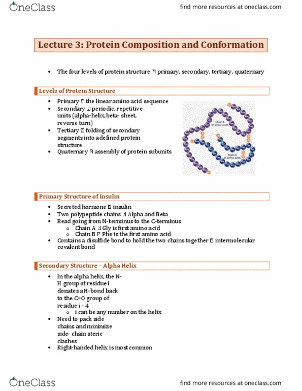 BCH210H1 Lecture Notes - Lecture 3: Alpha Helix, Disulfide, Beta Sheet thumbnail