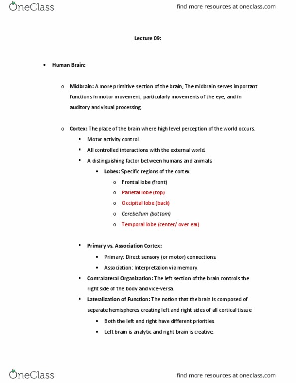 PSYA01H3 Lecture Notes - Lecture 9: Occipital Lobe, Parietal Lobe, Frontal Lobe thumbnail