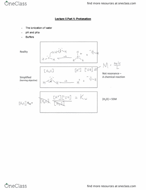 MBB 222 Lecture Notes - Lecture 5: Protonation, Acid Dissociation Constant thumbnail