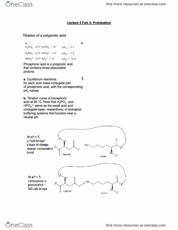 MBB 222 Lecture Notes - Lecture 5: Protonation, Bicarbonate Buffer System, Titration thumbnail