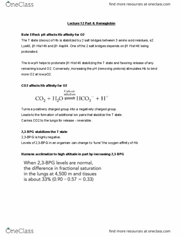 MBB 222 Lecture Notes - Lecture 12: Bohr Effect, Hemoglobin, Protonation thumbnail