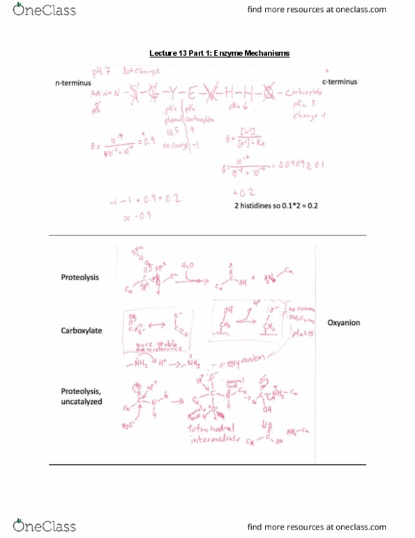 MBB 222 Lecture Notes - Lecture 13: Enzyme, Activation Energy thumbnail