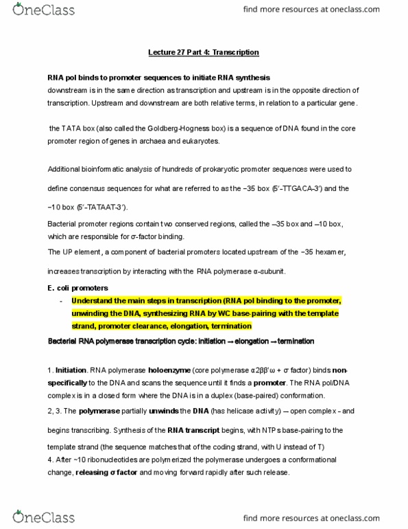 MBB 222 Lecture Notes - Lecture 27: Tata Box, Bioinformatics, Enzyme thumbnail