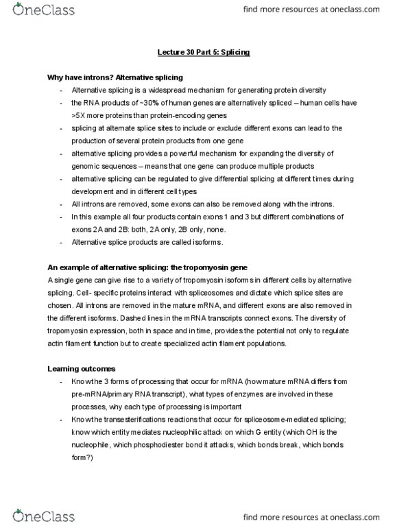 MBB 222 Lecture Notes - Lecture 30: Alternative Splicing, Phosphodiester Bond, Spliceosome thumbnail