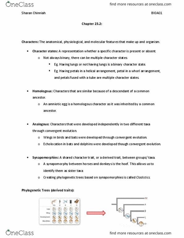 BIOA01H3 Chapter Notes - Chapter 23: Amniote, Petal, Synapomorphy thumbnail