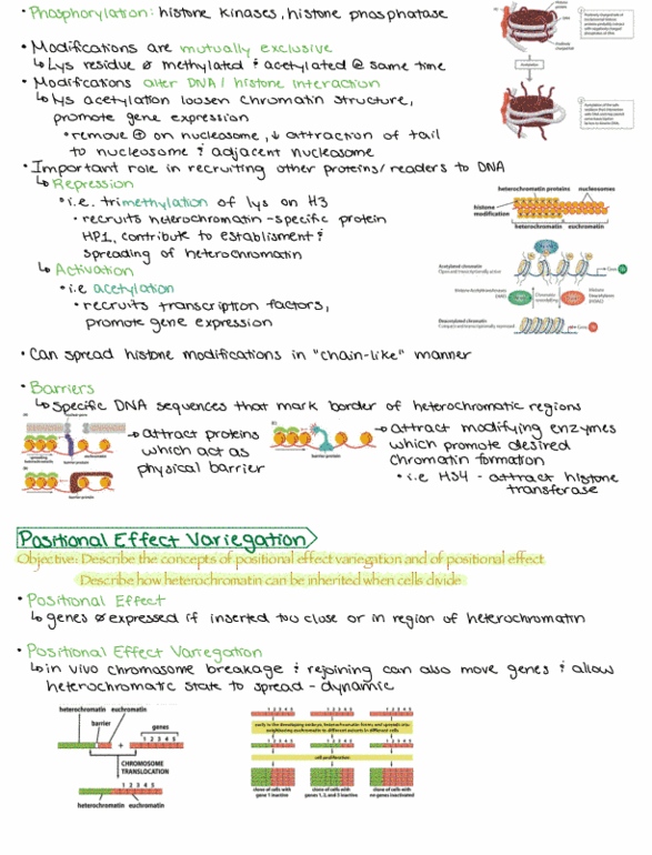 BIO 3170 Lecture 15: BIO3170 midterm 1 review 3 thumbnail