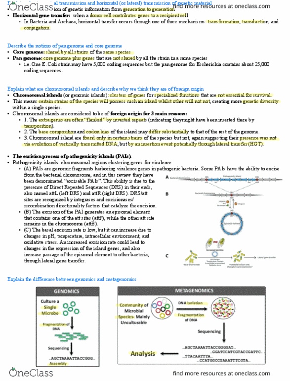 BIO 3124 Lecture Notes - Lecture 5: Genomic Island, Horizontal Gene Transfer, Vertically Transmitted Infection thumbnail