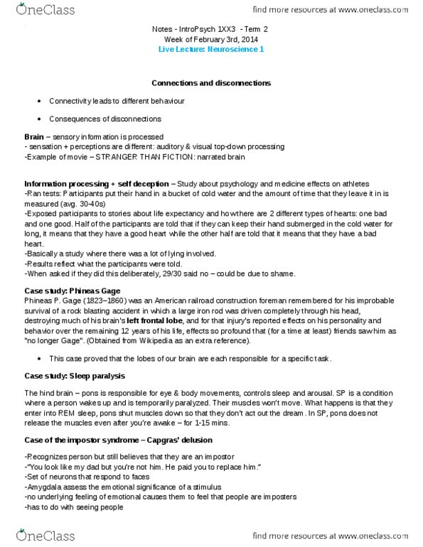 PSYCH 1XX3 Lecture Notes - Lecture 4: Phineas Gage, Drilling And Blasting, Frontal Lobe thumbnail