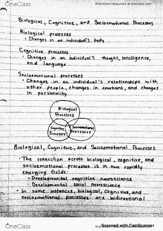 HDFS 230 Lecture : note 3 thumbnail