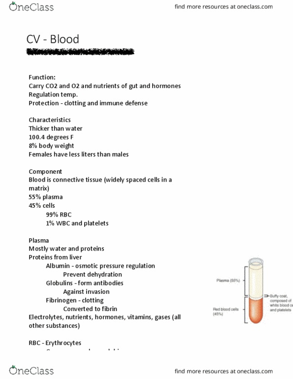 ANAT 1010 Lecture 24: CV - Blood thumbnail