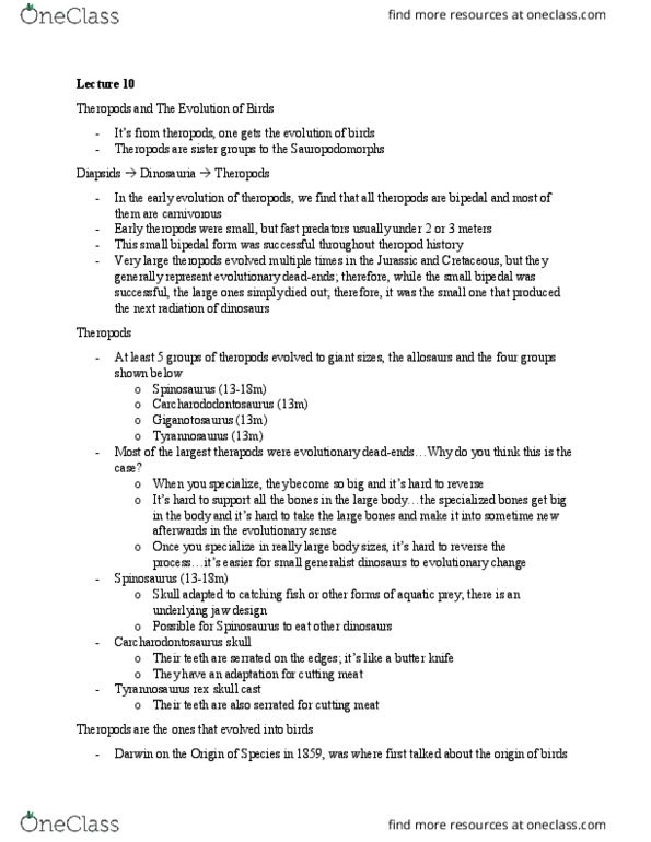 BIOC50H3 Lecture Notes - Lecture 10: Tyrannosaurus, Spinosaurus, Theropoda thumbnail