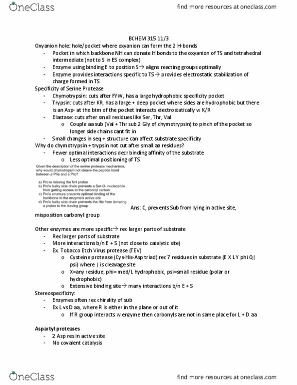 BCHM 310 Lecture Notes - Lecture 32: Tev Protease, Cysteine Protease, Oxyanion thumbnail