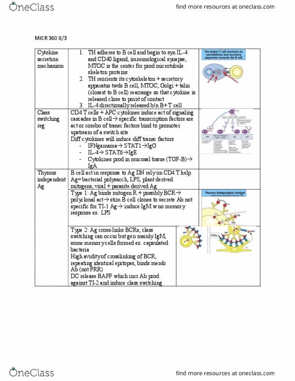 MICR 360 Lecture 23: MICR 360 8:3 thumbnail