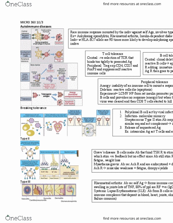 MICR 360 Lecture 28: MICRO 360 10:3 thumbnail