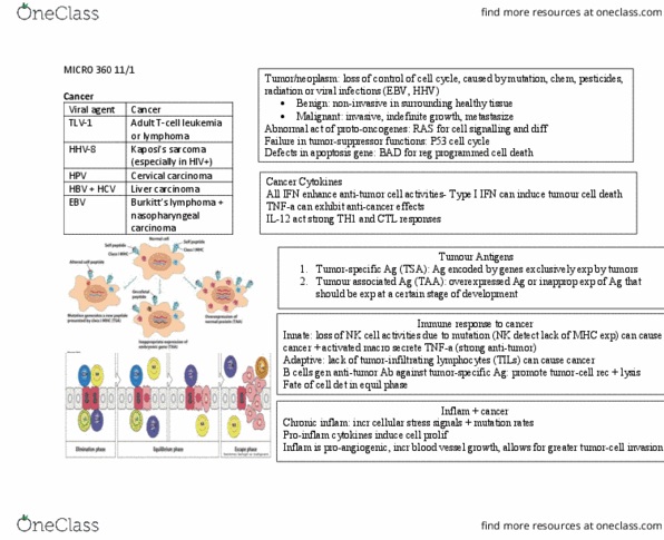 MICR 360 Lecture 29: MICRO 360 11:1 thumbnail