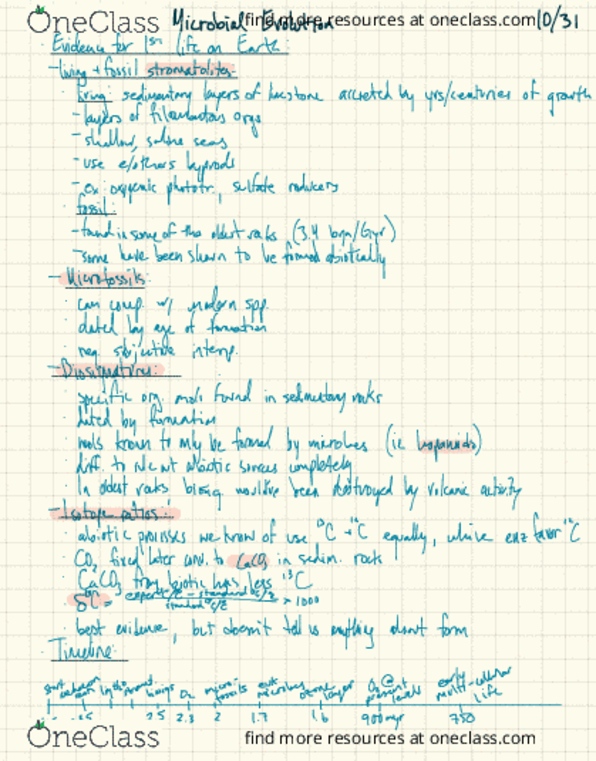 PLANTBI C112 Lecture Notes - Lecture 30: Hopanoids, Stromatolite, Photosynthesis thumbnail