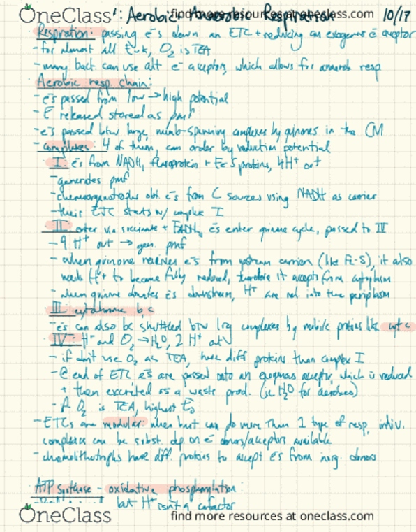 PLANTBI C112 Lecture 24: 24 Aerobic and Anaerobic Respiration thumbnail