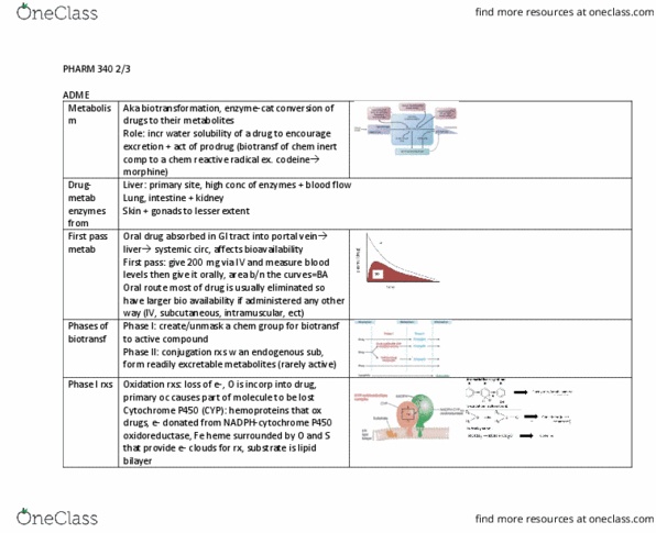 PHAR 340 Lecture Notes - Lecture 6: Cytochrome P450, Portal Vein, Lipid Bilayer thumbnail