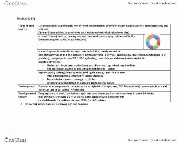 document preview image