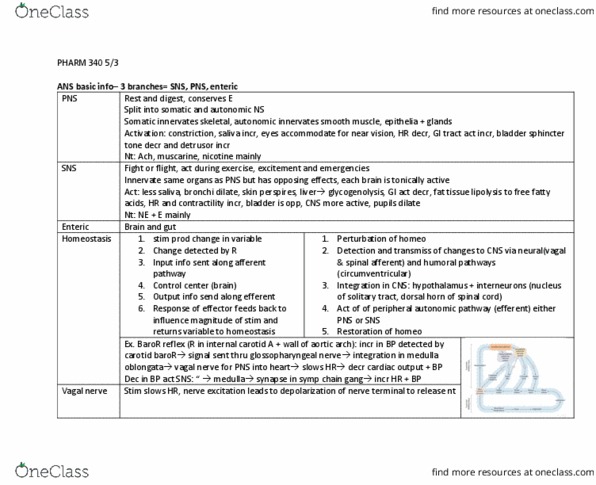 PHAR 340 Lecture Notes - Lecture 15: Medulla Oblongata, Solitary Tract, Posterior Grey Column thumbnail