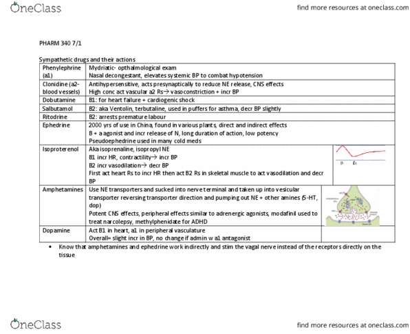 PHAR 340 Lecture Notes - Lecture 19: Cardiogenic Shock, Ritodrine, Terbutaline thumbnail