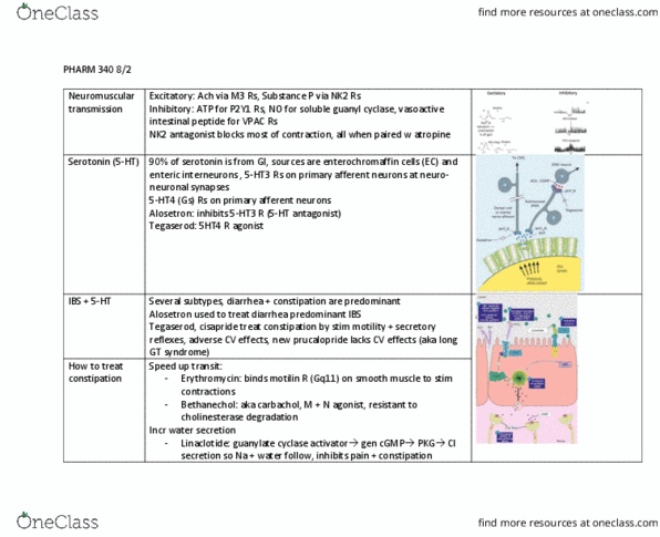 document preview image