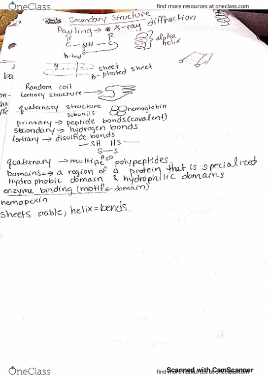 BIOL 3096 Lecture 5: new doc 2018-12-25 23.35.16 thumbnail