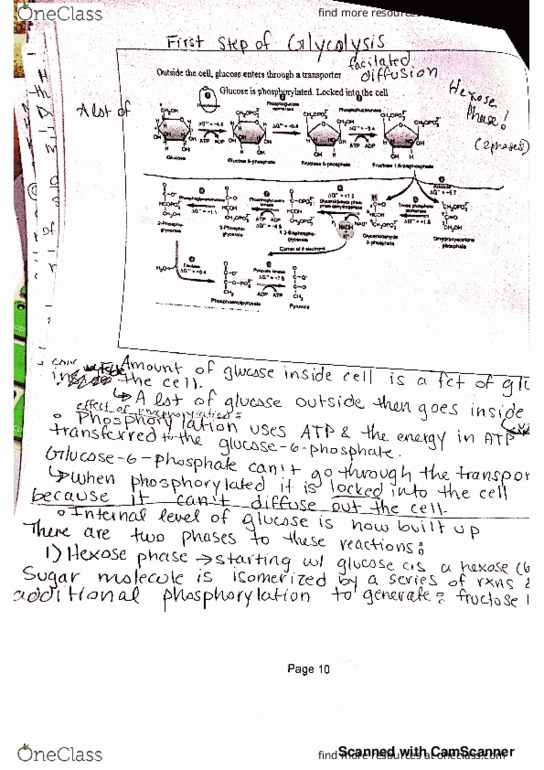 document preview image