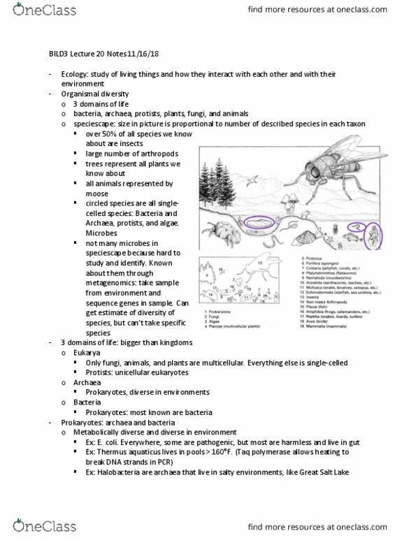 BILD 3 Lecture Notes - Lecture 20: Thermus Aquaticus, Great Salt Lake, Haloarchaea thumbnail