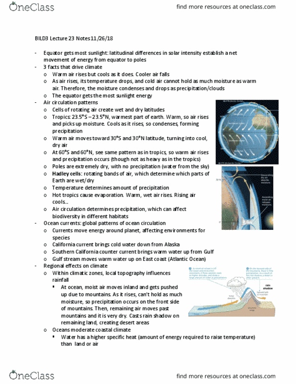 BILD 3 Lecture Notes - Lecture 23: Gulf Stream, Ocean Current, California Current thumbnail