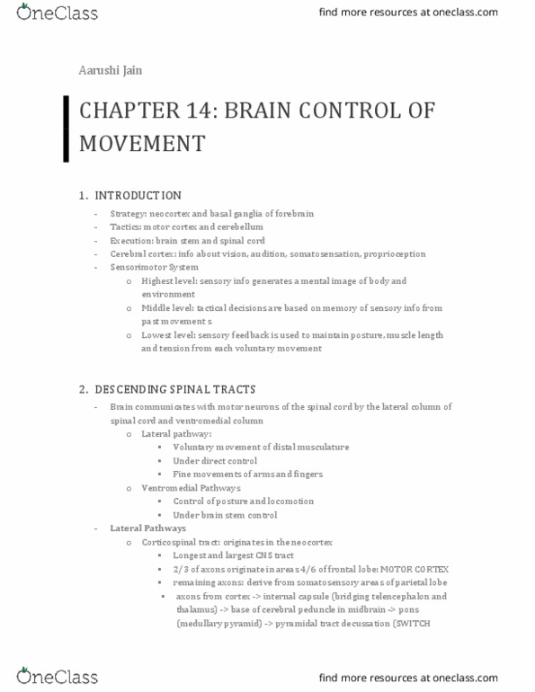 CAS NE 203 Chapter Notes - Chapter 14: Cerebral Peduncle, Corticospinal Tract, Basal Ganglia thumbnail