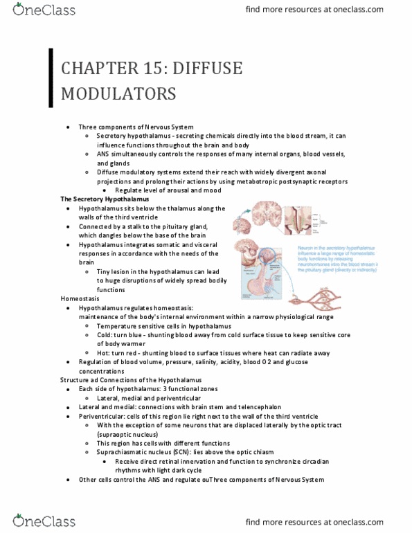 CAS NE 203 Chapter Notes - Chapter 15: Suprachiasmatic Nucleus, Supraoptic Nucleus, Optic Chiasm thumbnail