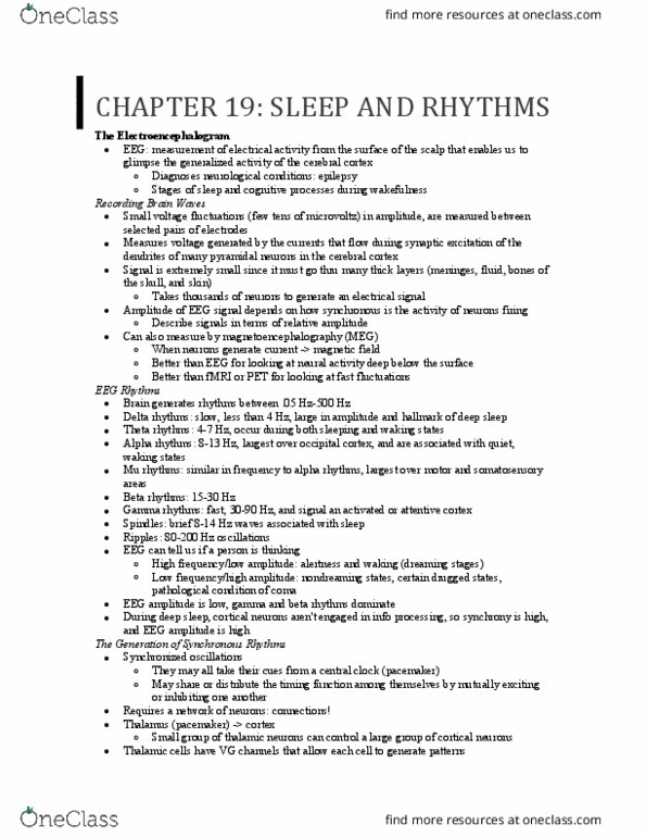 CAS NE 203 Chapter Notes - Chapter 19: Slow-Wave Sleep, Cerebral Cortex, Sleep Spindle thumbnail