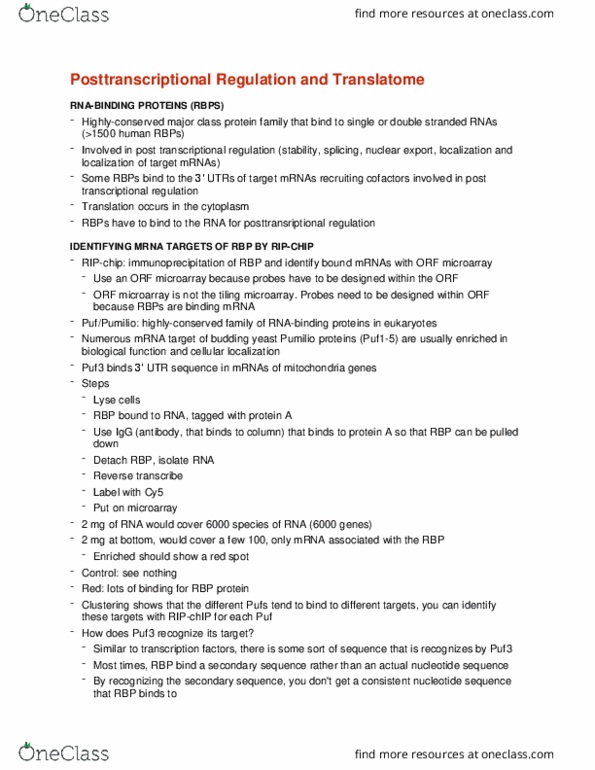 CMMB 461 Lecture Notes - Lecture 25: Immunoprecipitation, Splicing Factor, Immunoglobulin G thumbnail