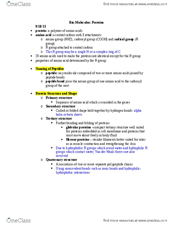 BIOL 1117 Lecture Notes - Carboxylic Acid, Alpha Helix, Amine thumbnail