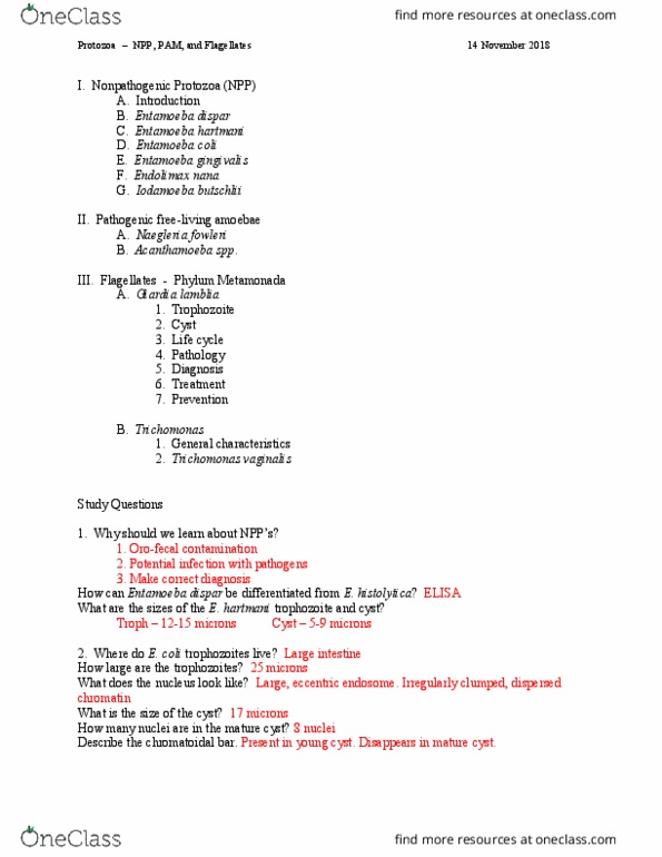 01:146:328 Lecture Notes - Lecture 18: Giardia Lamblia, Apicomplexan Life Cycle, Entamoeba thumbnail