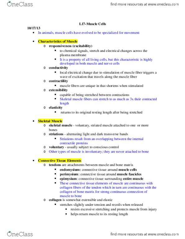 BIOL 1117 Lecture Notes - Myocyte, Sarcolemma, Perimysium thumbnail