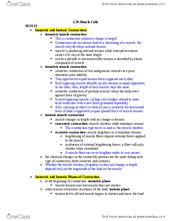 BIOL 1117 Lecture Notes - Cardiac Muscle, Joint Stability, Phosphagen thumbnail