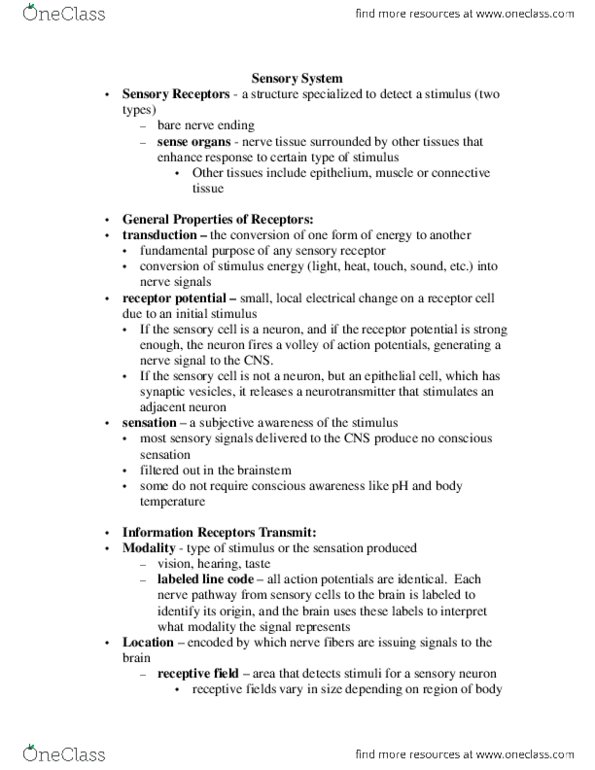 BIOL 1117 Lecture Notes - Thermoreceptor, Nociceptor, Mechanoreceptor thumbnail