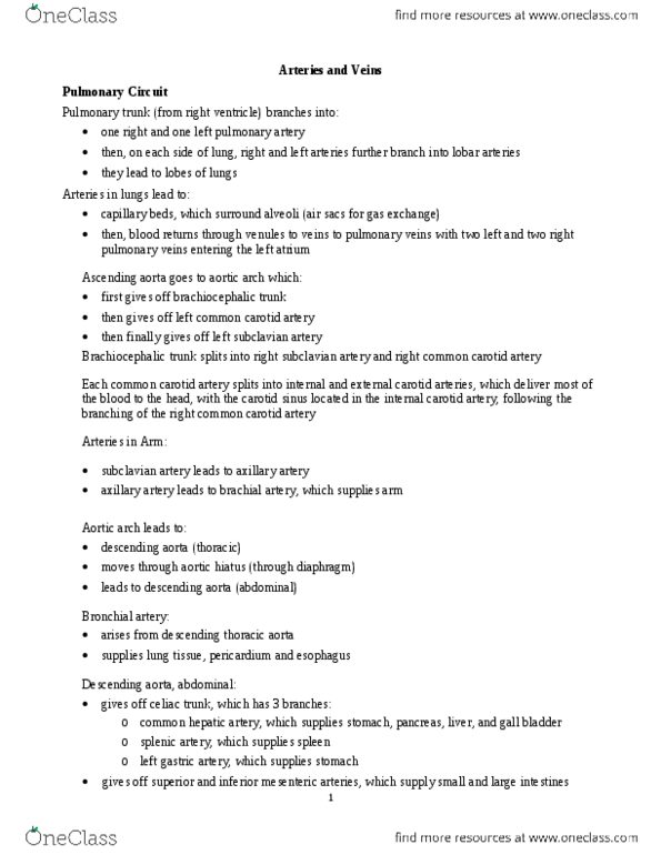 BIOL 1119 Chapter Notes -Common Carotid Artery, Left Gastric Artery, Internal Carotid Artery thumbnail