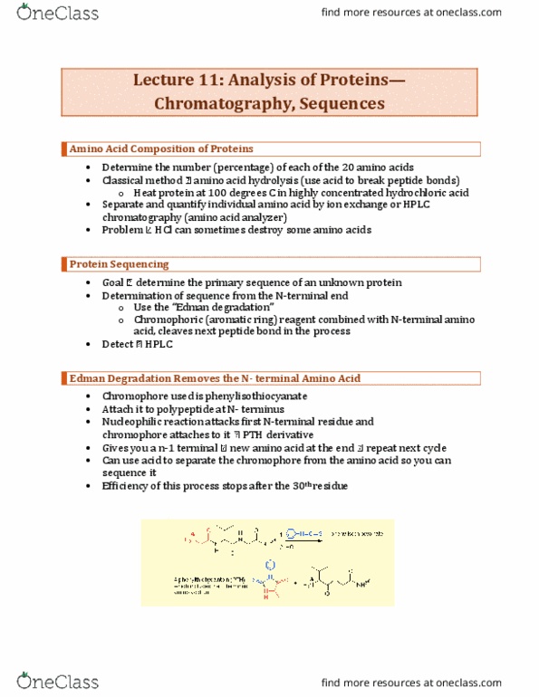 BCH210H1 Lecture 11: Analysis of Proteins—Chromatography, Sequences- Sequences thumbnail