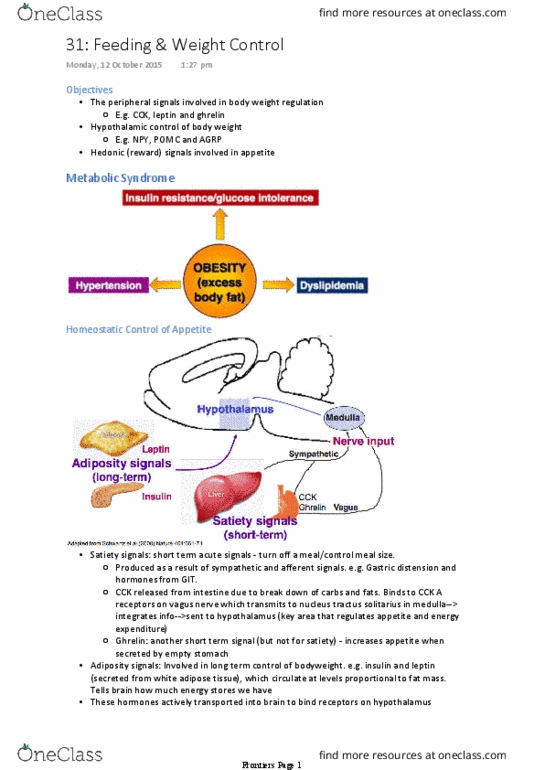 BIOM30001 Lecture Notes - Lecture 31: Solitary Tract, White Adipose Tissue, Vagus Nerve thumbnail
